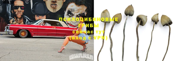 марихуана Гусиноозёрск