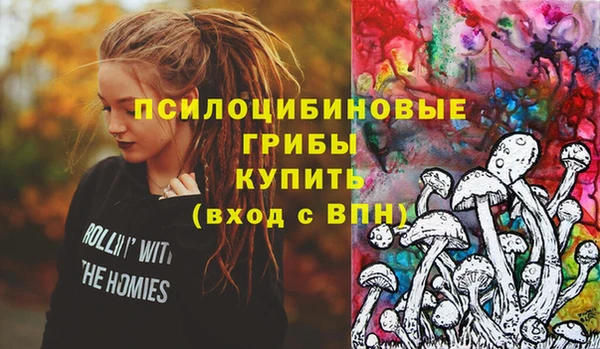 гидропоника Гусев